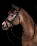 Pony Dressage Bridle No. 11 | Black