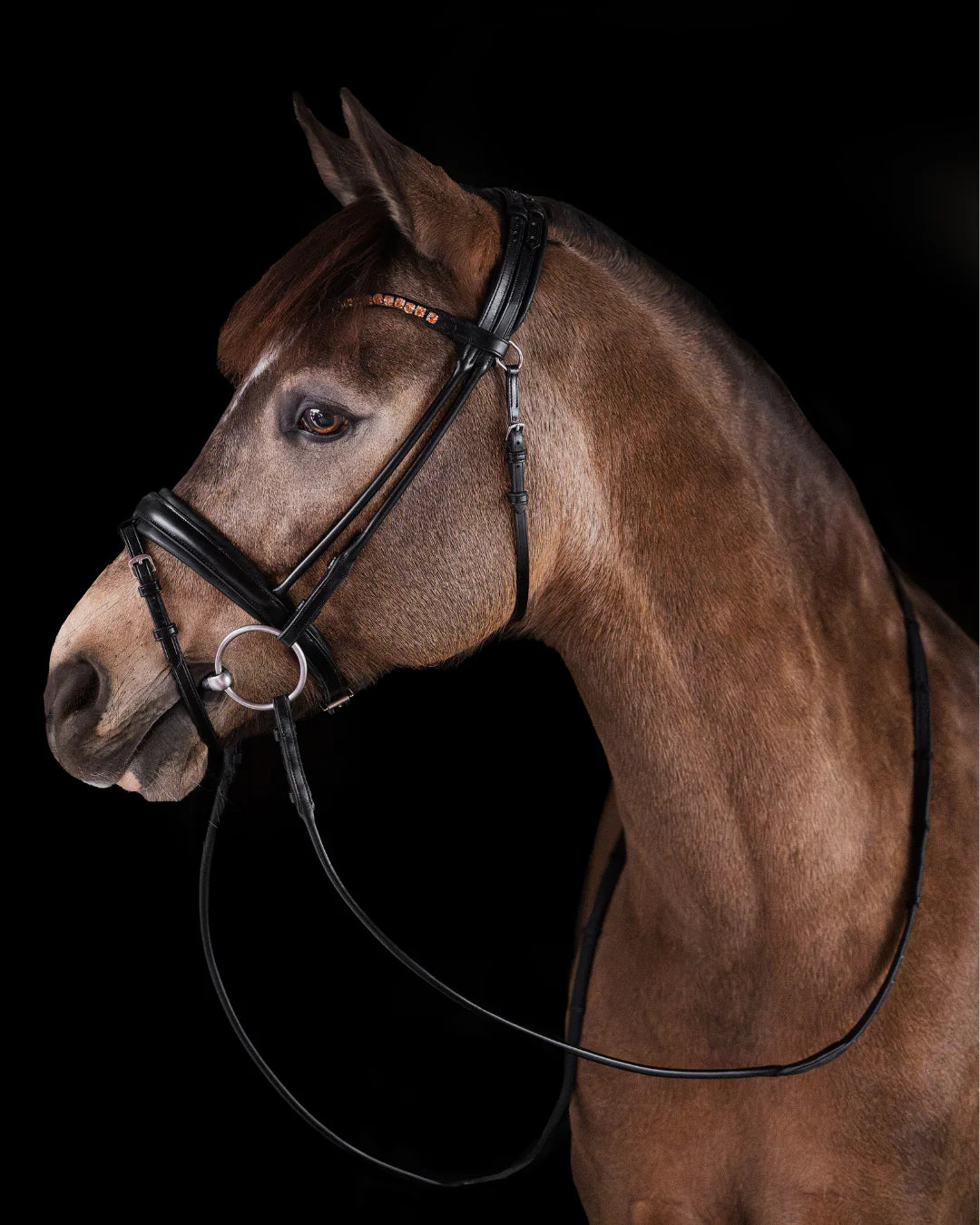Pony Dressage Bridle No. 11 | Black