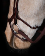 Native Bridle No. 20 | Brown