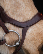 Native Bridle No. 20 | Brown