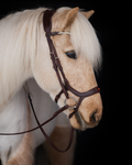 Native Bridle No. 20 | Brown
