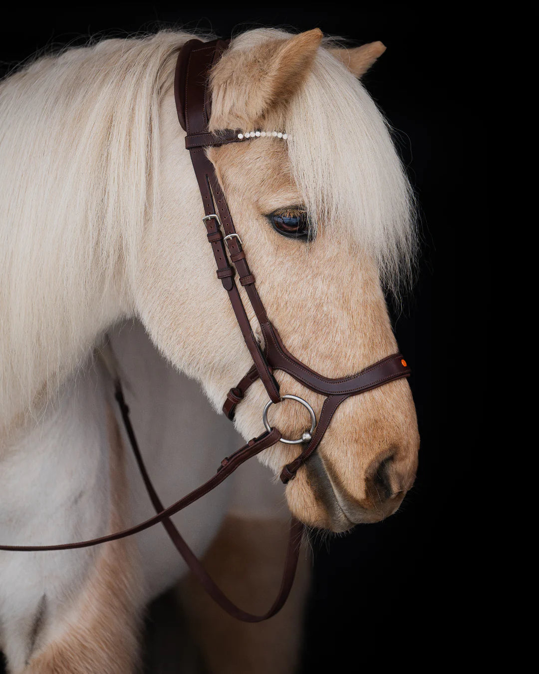 Native Bridle No. 20 | Brown