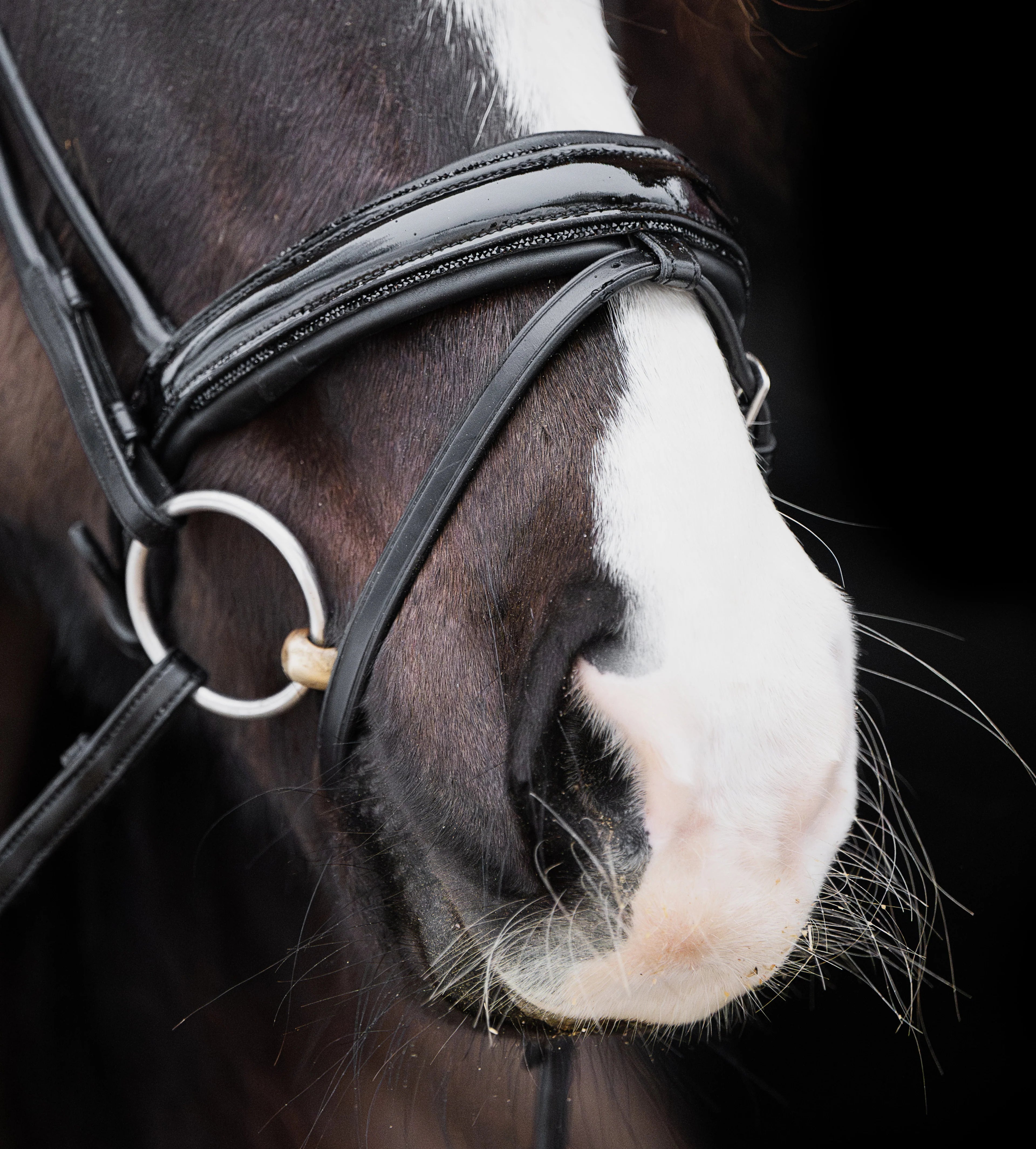 Native Bridle No. 17 | Black