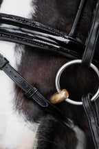 Native Bridle No. 17 | Black