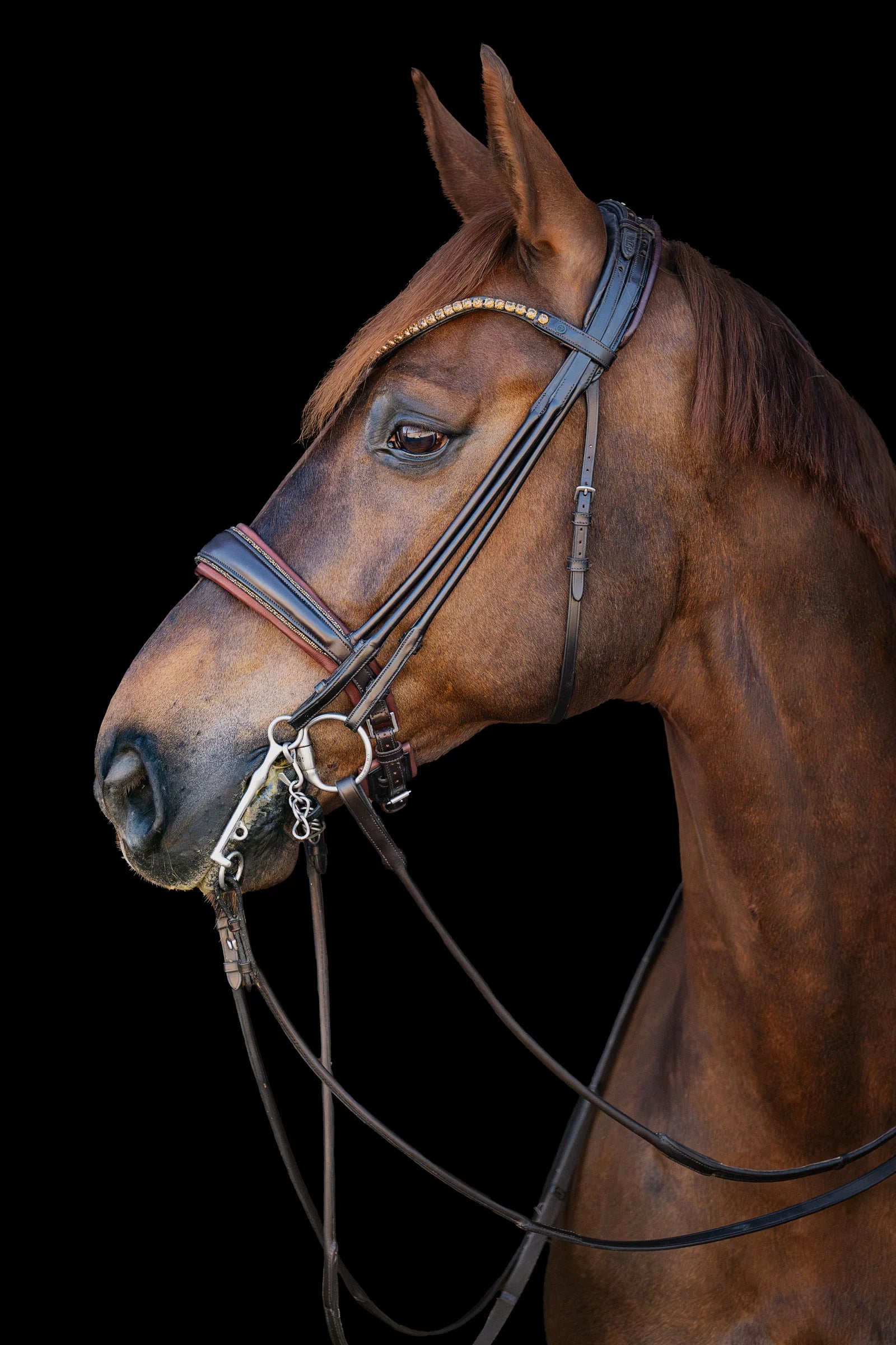 Double Bridle Rolled-Stitched – Matte Brown Crystal | No. 156
