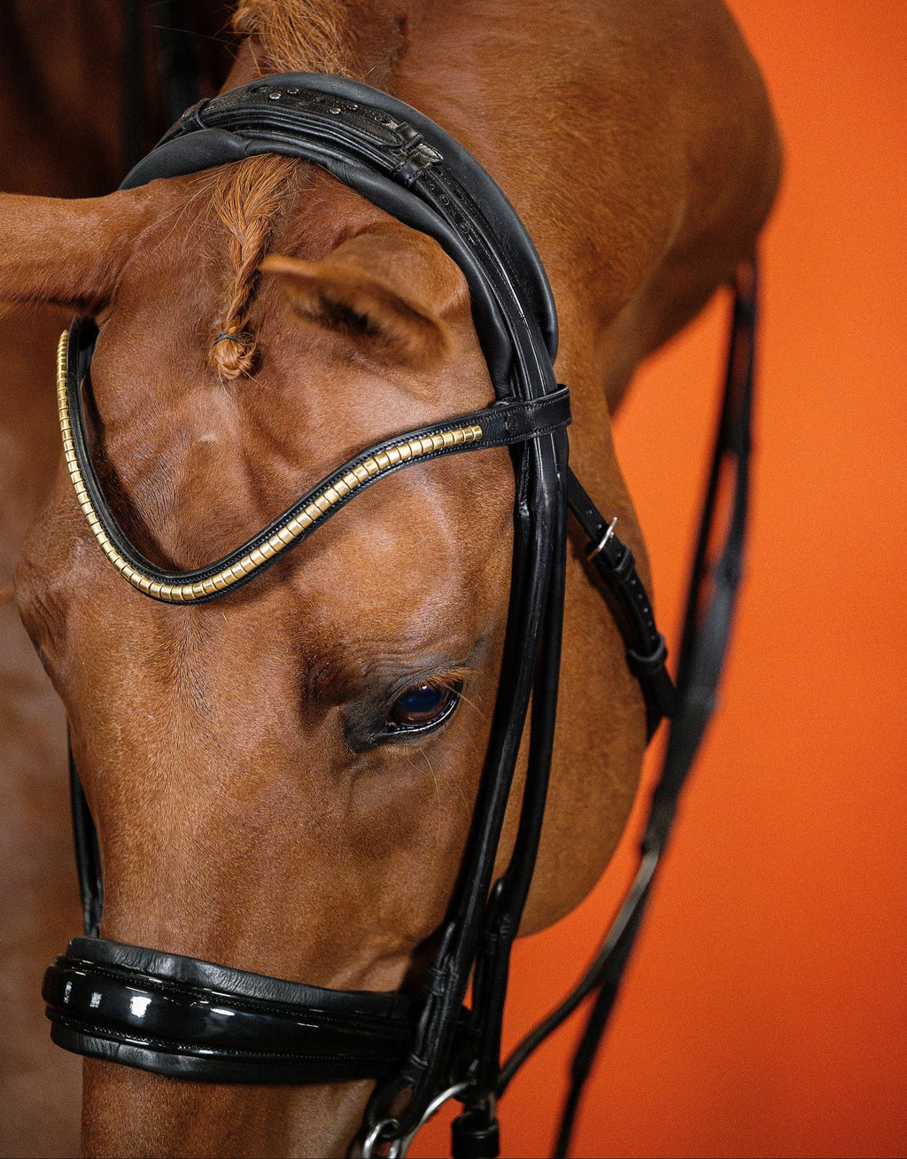 Patent Double Bridle – Black | No. 03