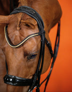 Patent Double Bridle – Black | No. 03