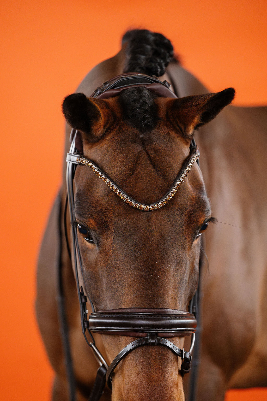 Dressage Bridle – Brown | No. 01