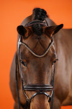Dressage Bridle – Brown | No. 01