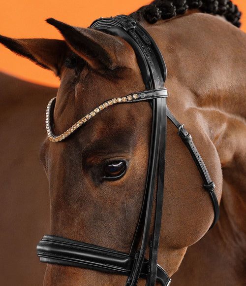 Light Colorado Topaz Crystal Browband (8 mm) (Black) | No. 53