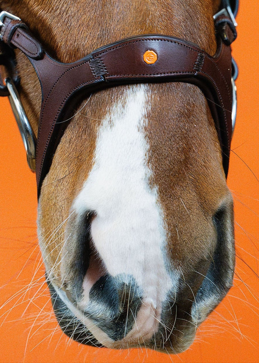 Combination Bridle – Brown | No. 08
