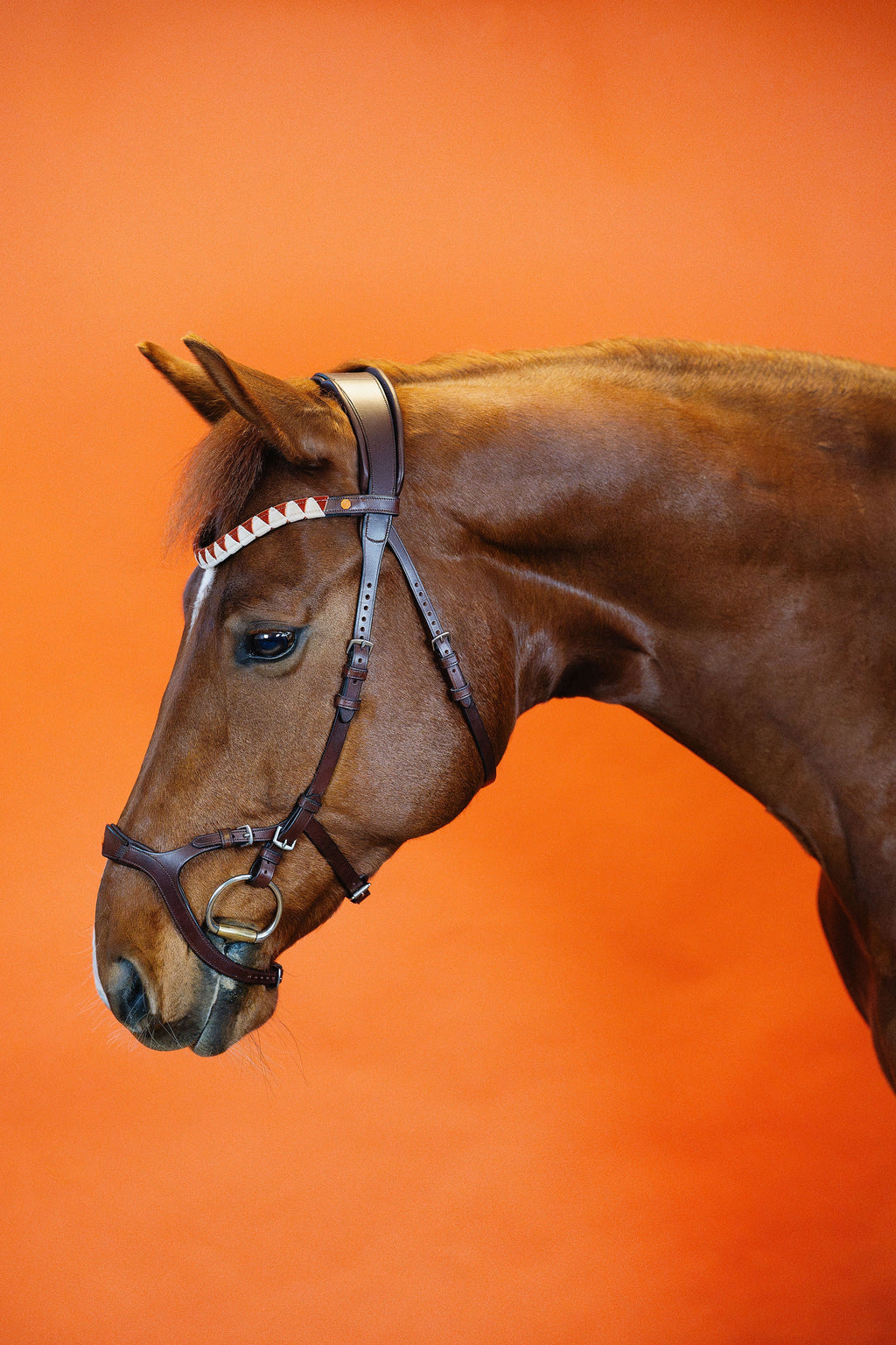 Combination Bridle – Brown | No. 08
