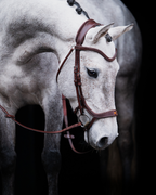 Pony Bridle No. 15 | Brown