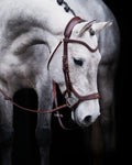 Pony Bridle No. 15 | Brown