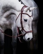 Pony Bridle No. 15 | Brown