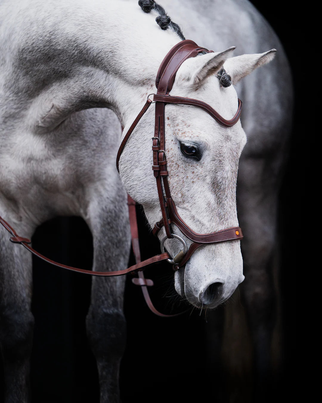 Pony Bridle No. 15 | Brown