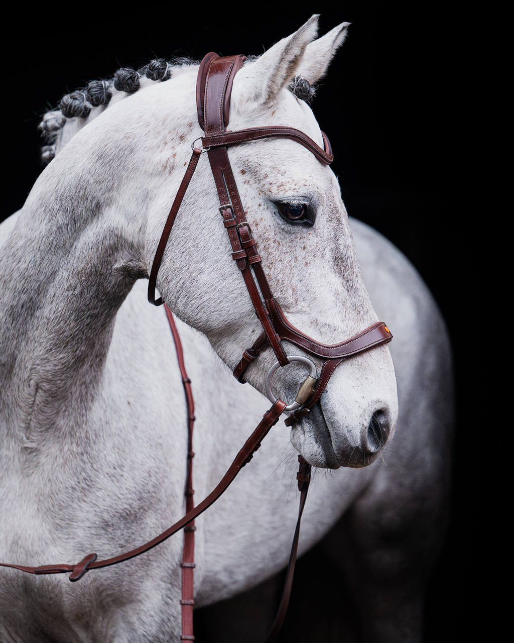 Pony Bridle No. 15 | Brown