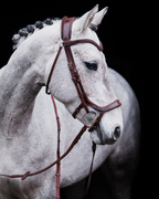 Pony Bridle No. 15 | Brown