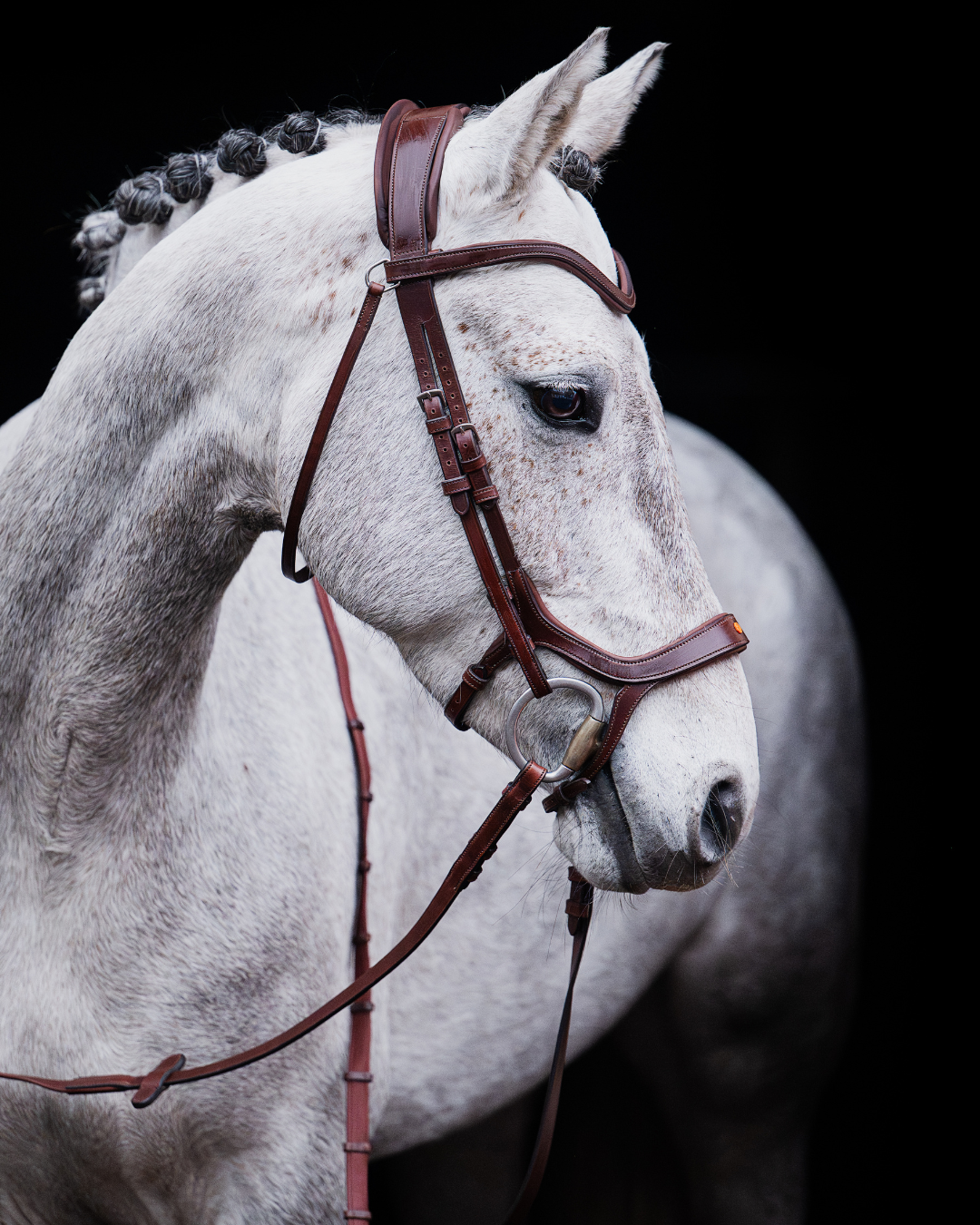 Pony Bridle No. 15 | Brown