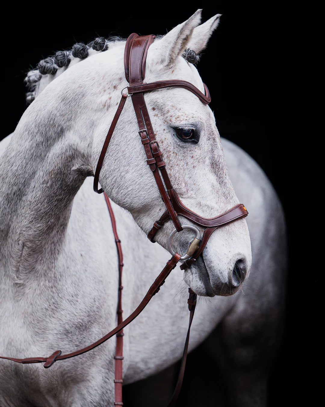 Pony Bridle No. 15 | Brown