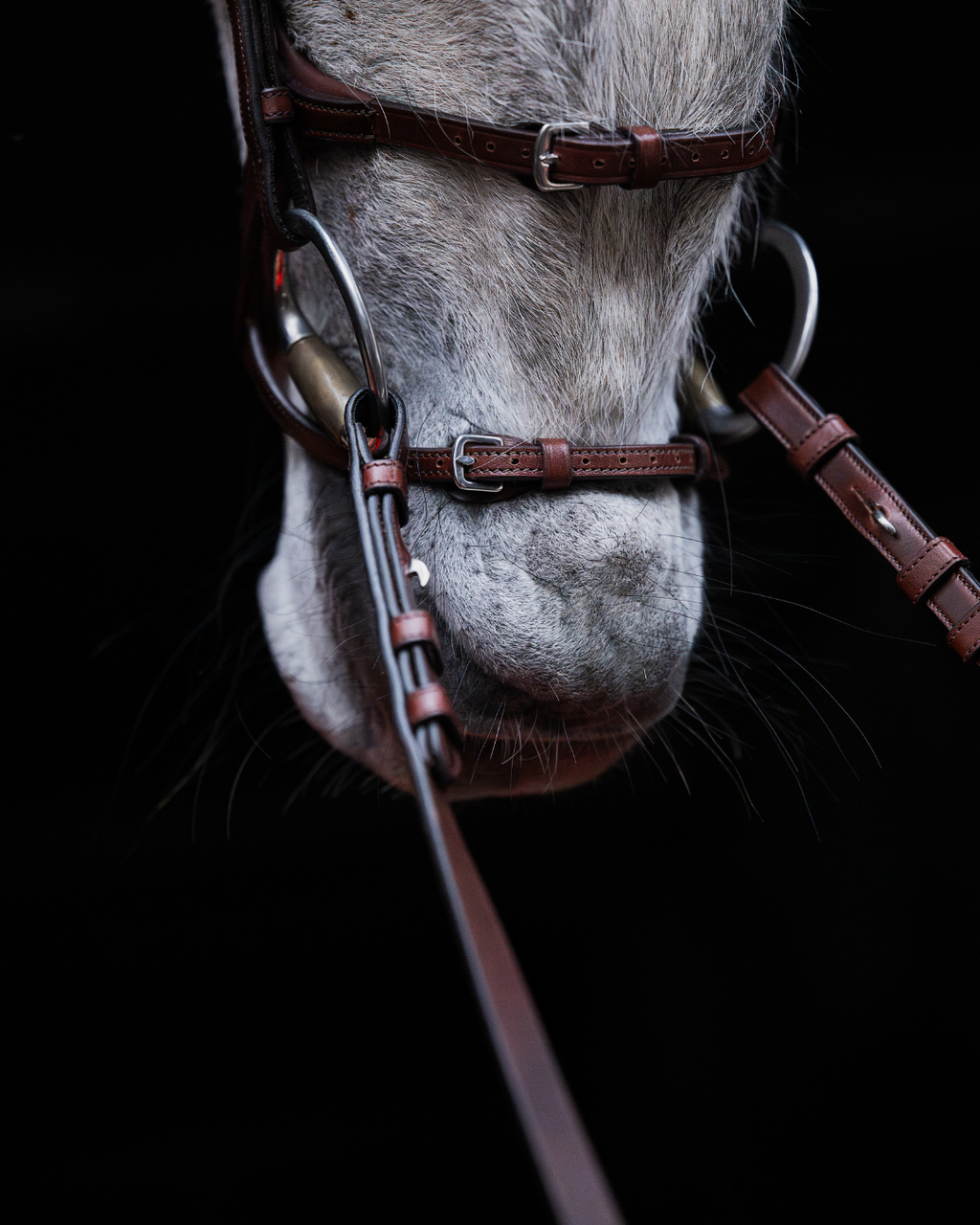 Pony Bridle No. 15 | Brown