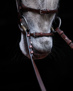 Pony Bridle No. 15 | Brown