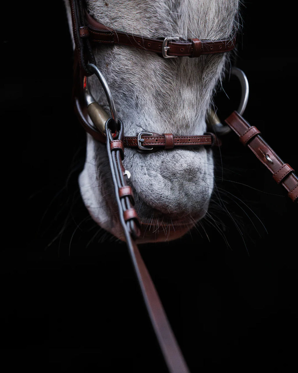 Pony Bridle No. 15 | Brown