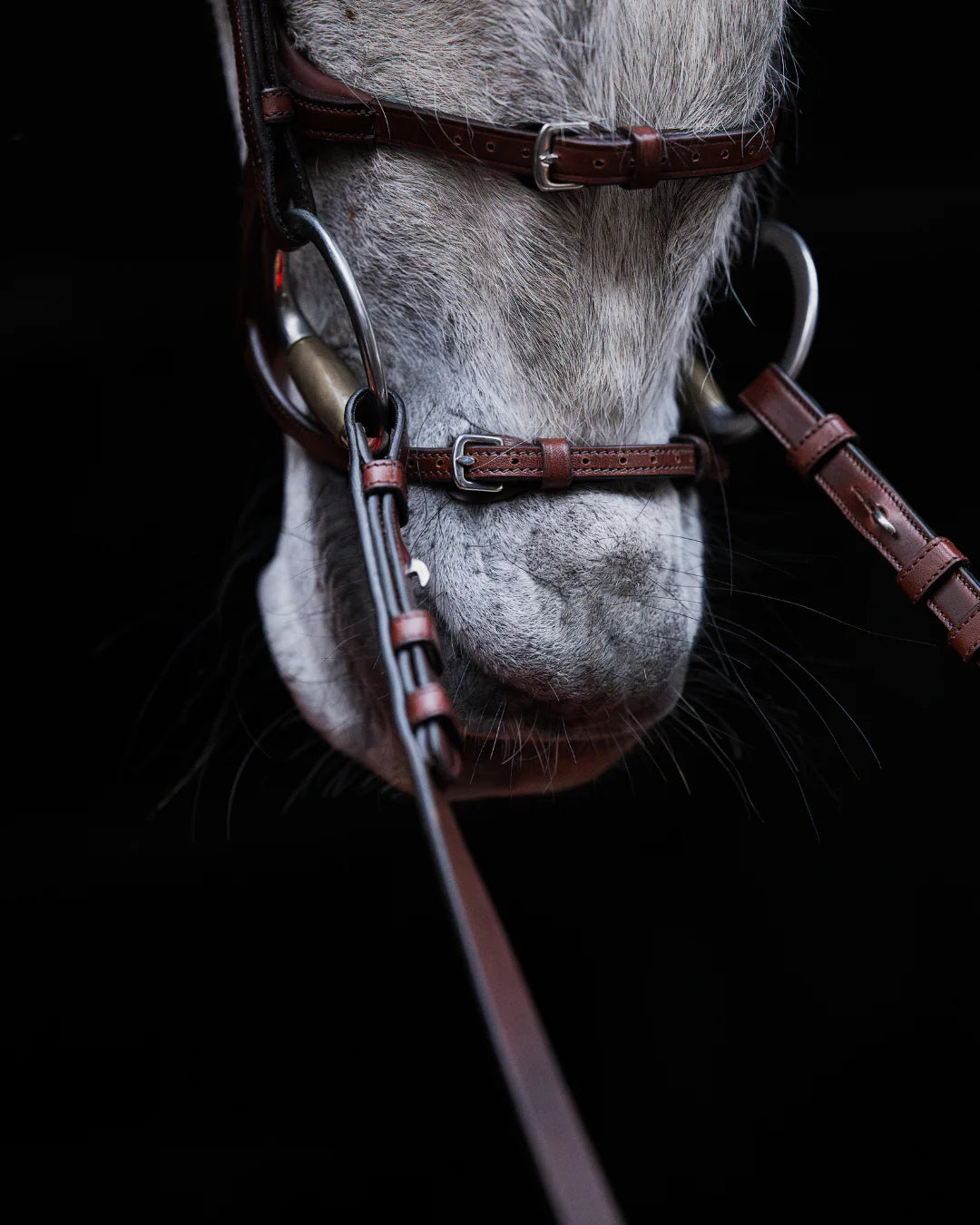 Pony Bridle No. 15 | Brown