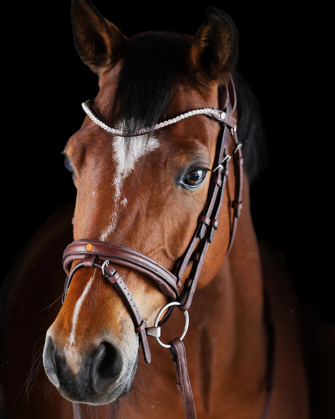 Pony Bridle No. 16 | Brown