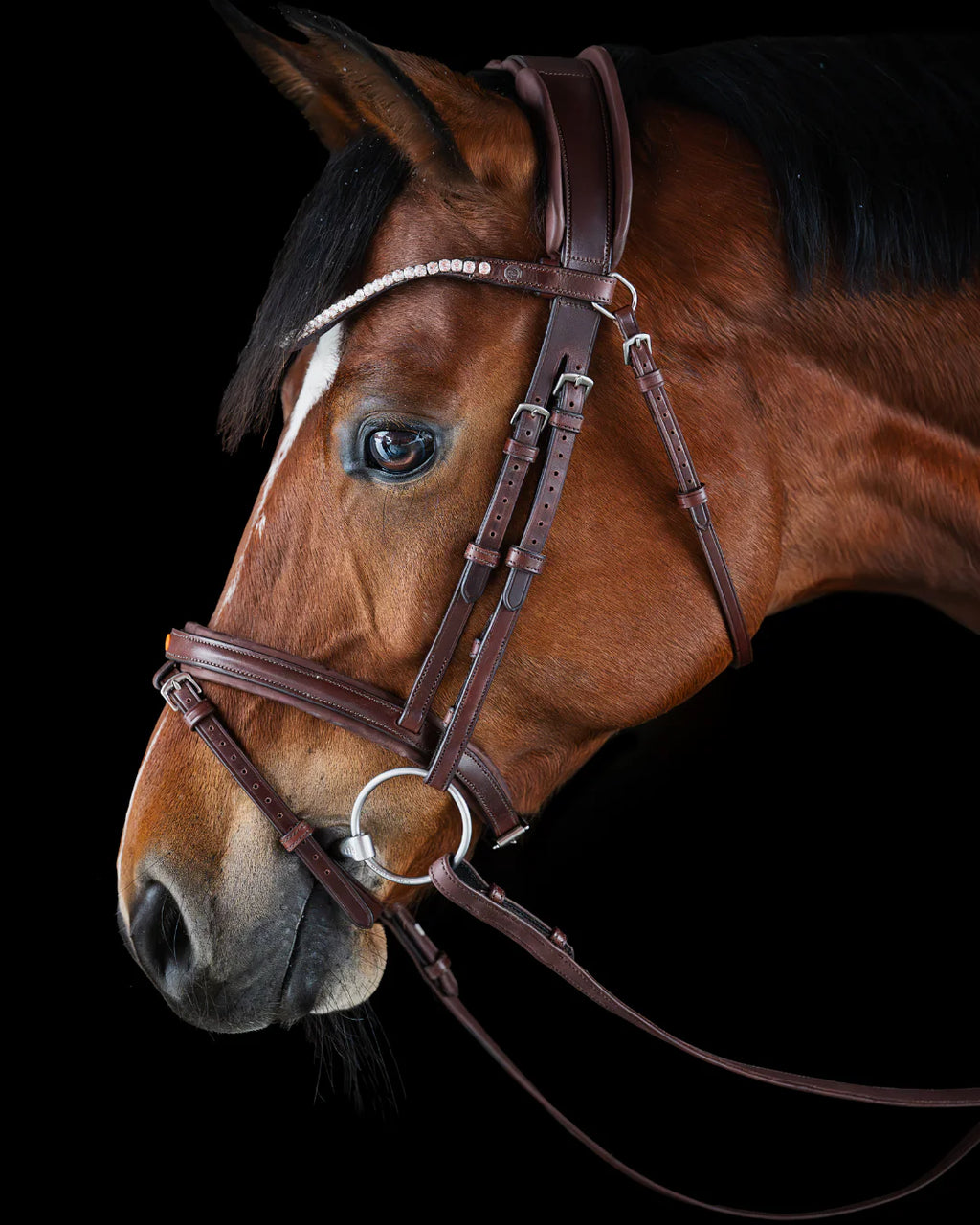 Pony Bridle No. 16 | Brown