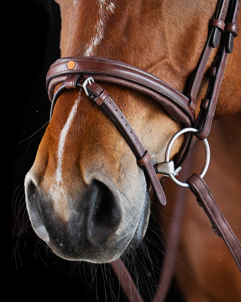 Pony Bridle No. 16 | Brown