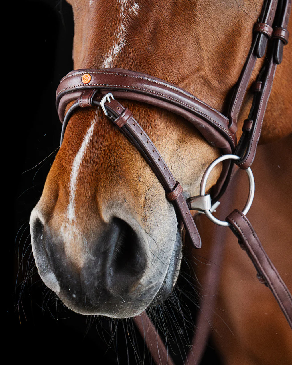 Pony Bridle No. 16 | Brown
