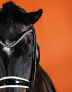 Crystal Clear Browband (8 mm) (Black) | No. 53