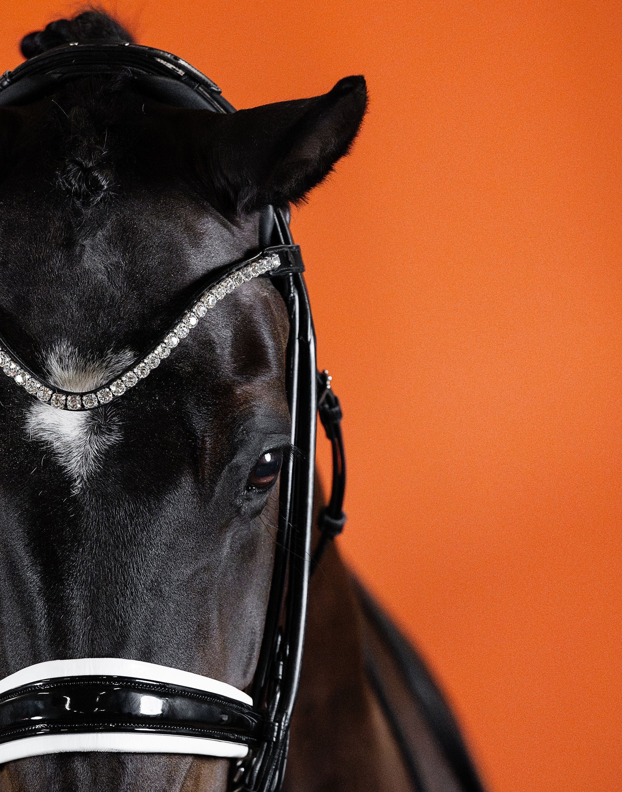 Crystal Clear Browband (8 mm) (Black) | No. 53