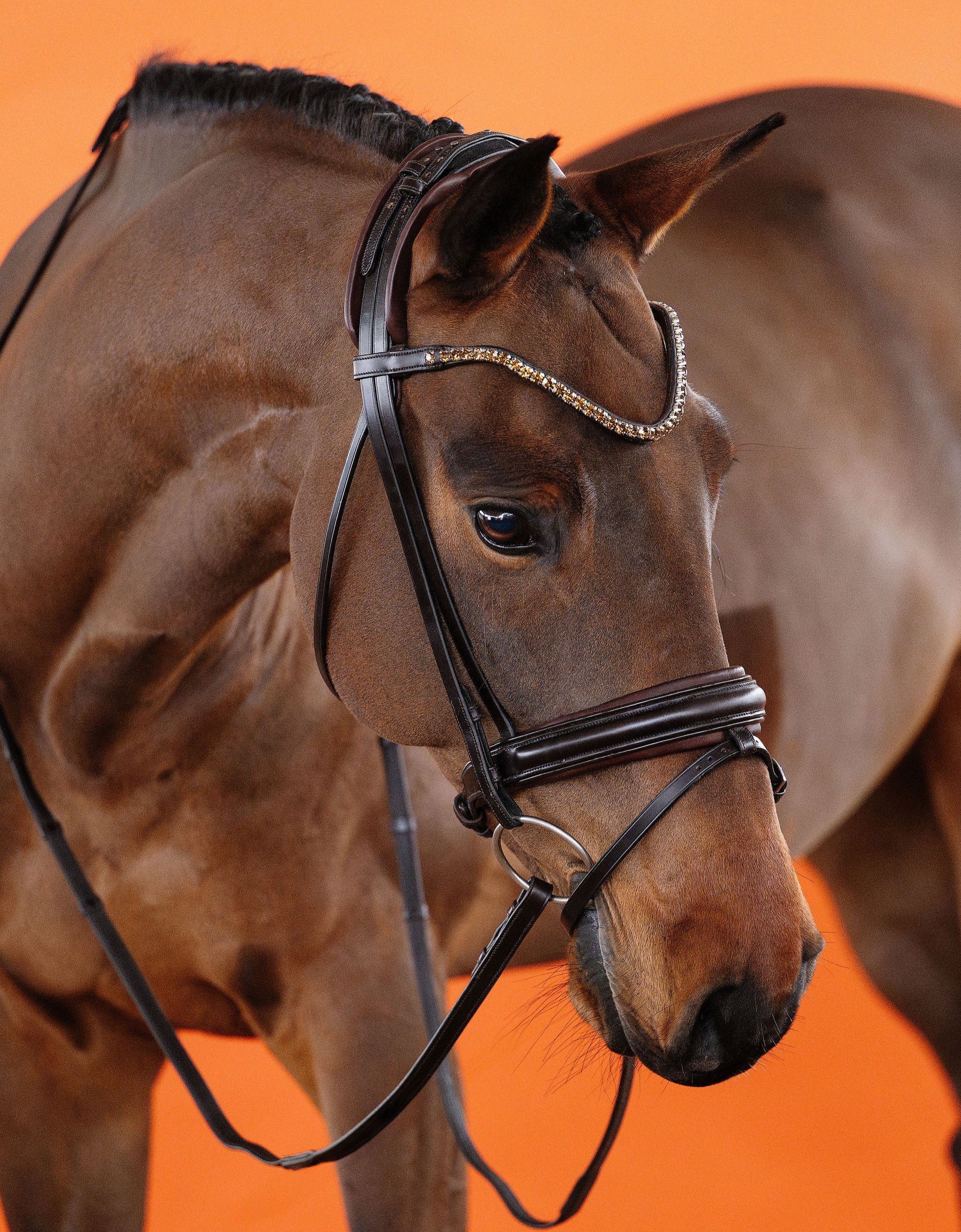 Light Colorado Topaz Crystal Browband (8 mm) (Brown) | No. 53