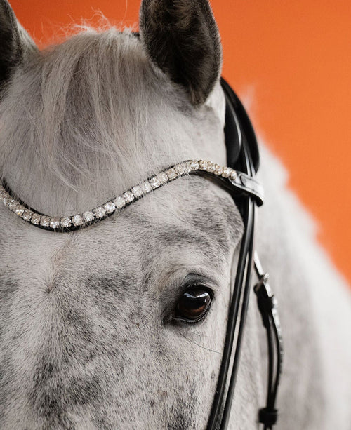 Crystal Clear Browband (8 mm) (Black) | No. 53