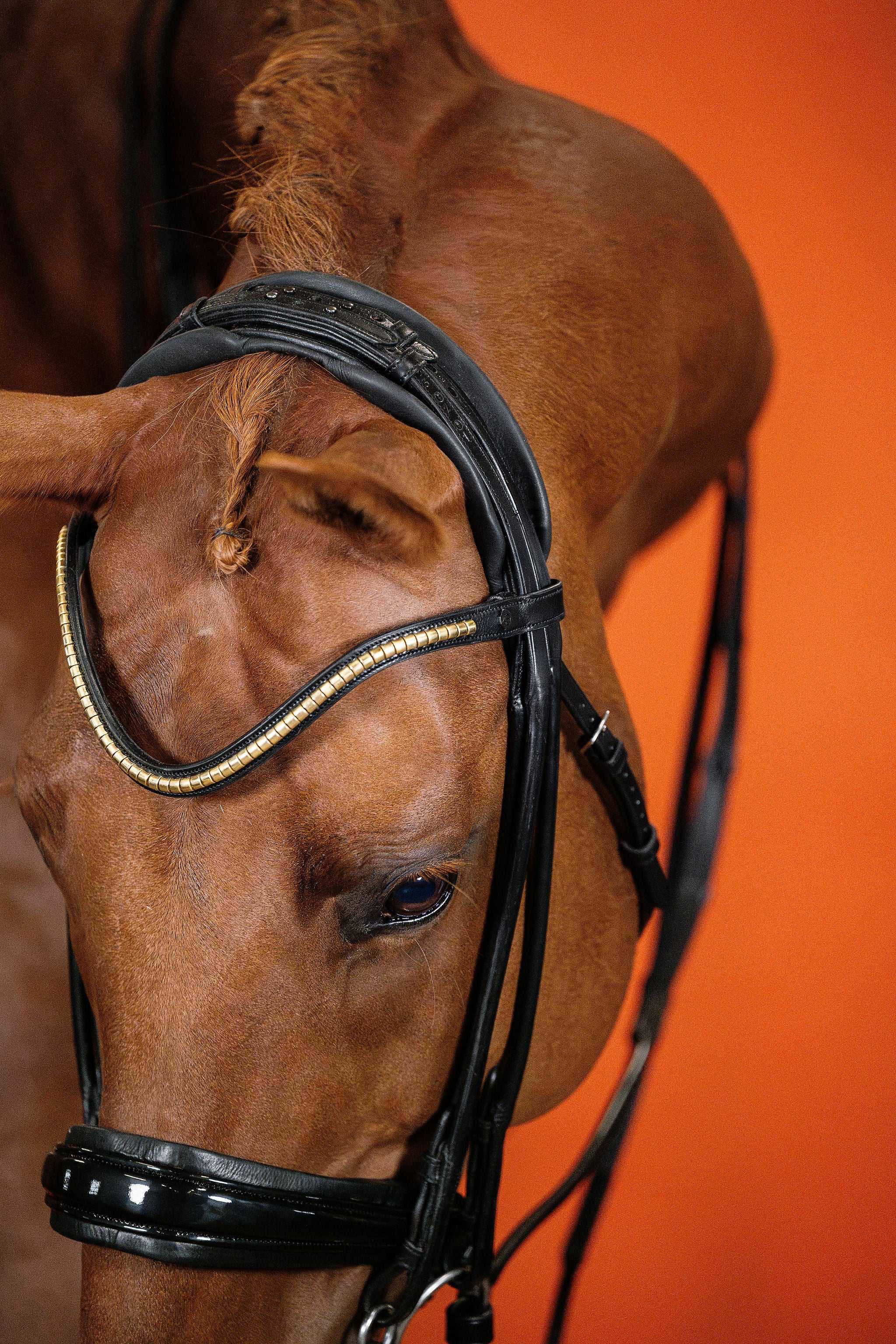Clinker Browband (Black) | No. 54