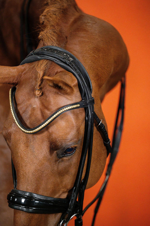 Clinker Browband (Black) | No. 54