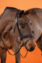 Dressage Bridle – Brown | No. 01