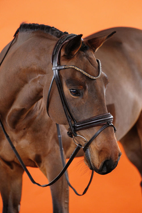 Dressage Noseband - Flat Leather (Brown) | No. 91