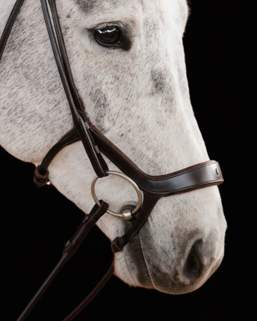 Remont Bridle (Drop Noseband) - Matte Brown | No. 109