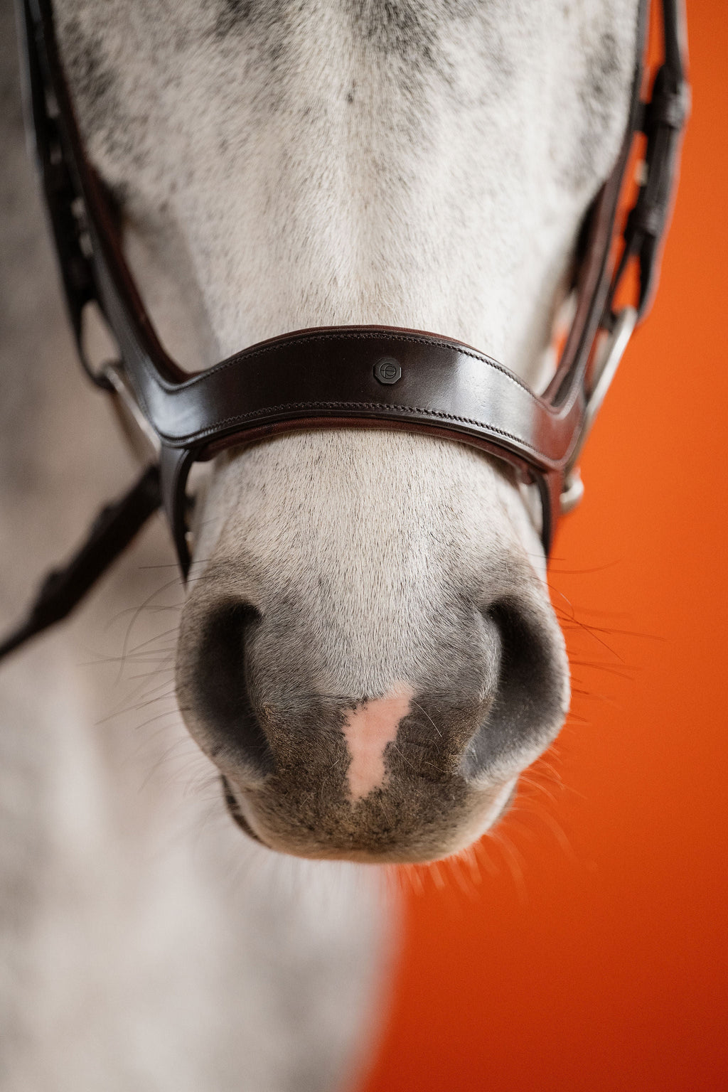 Remont (Drop Noseband) Bridle – Brown | No. 09