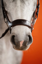 Remont (Drop Noseband) Bridle – Brown | No. 09