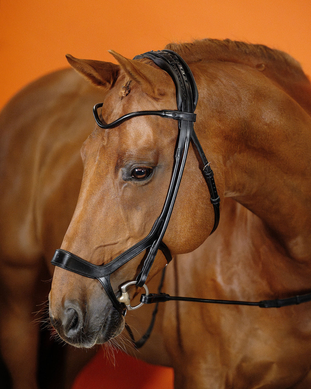 Remont (Drop Noseband) Bridle – Black | No. 09