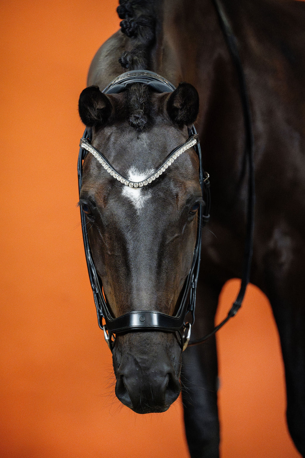 Remont (Drop Noseband) Bridle – Black | No. 09