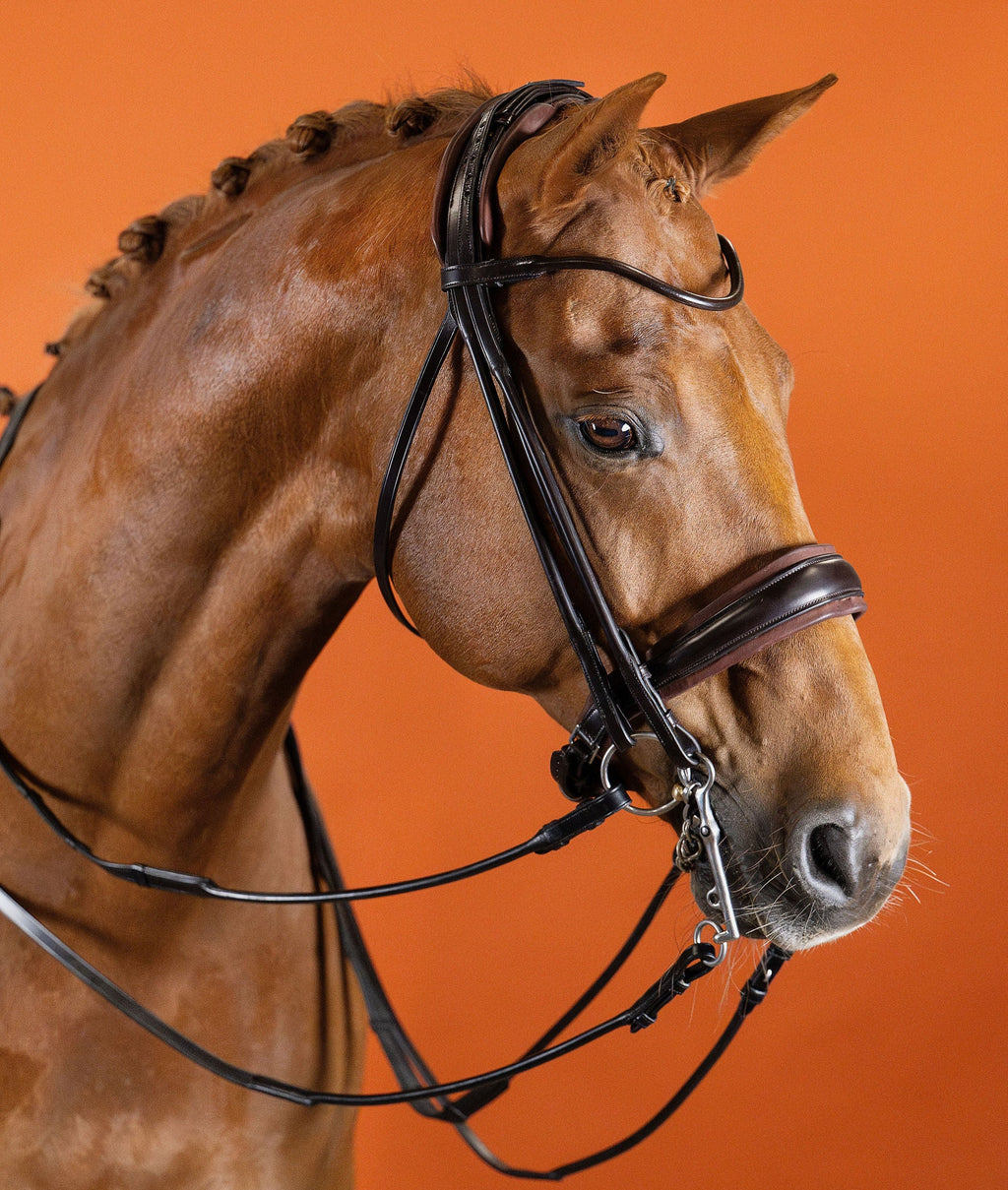 Round-Stitched Browband (Brown) | No. 51