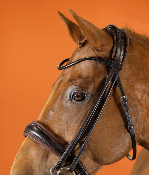 Round-Stitched Browband (Brown) | No. 51