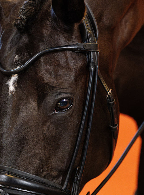 Round-Stitched Browband (Black) | No. 51