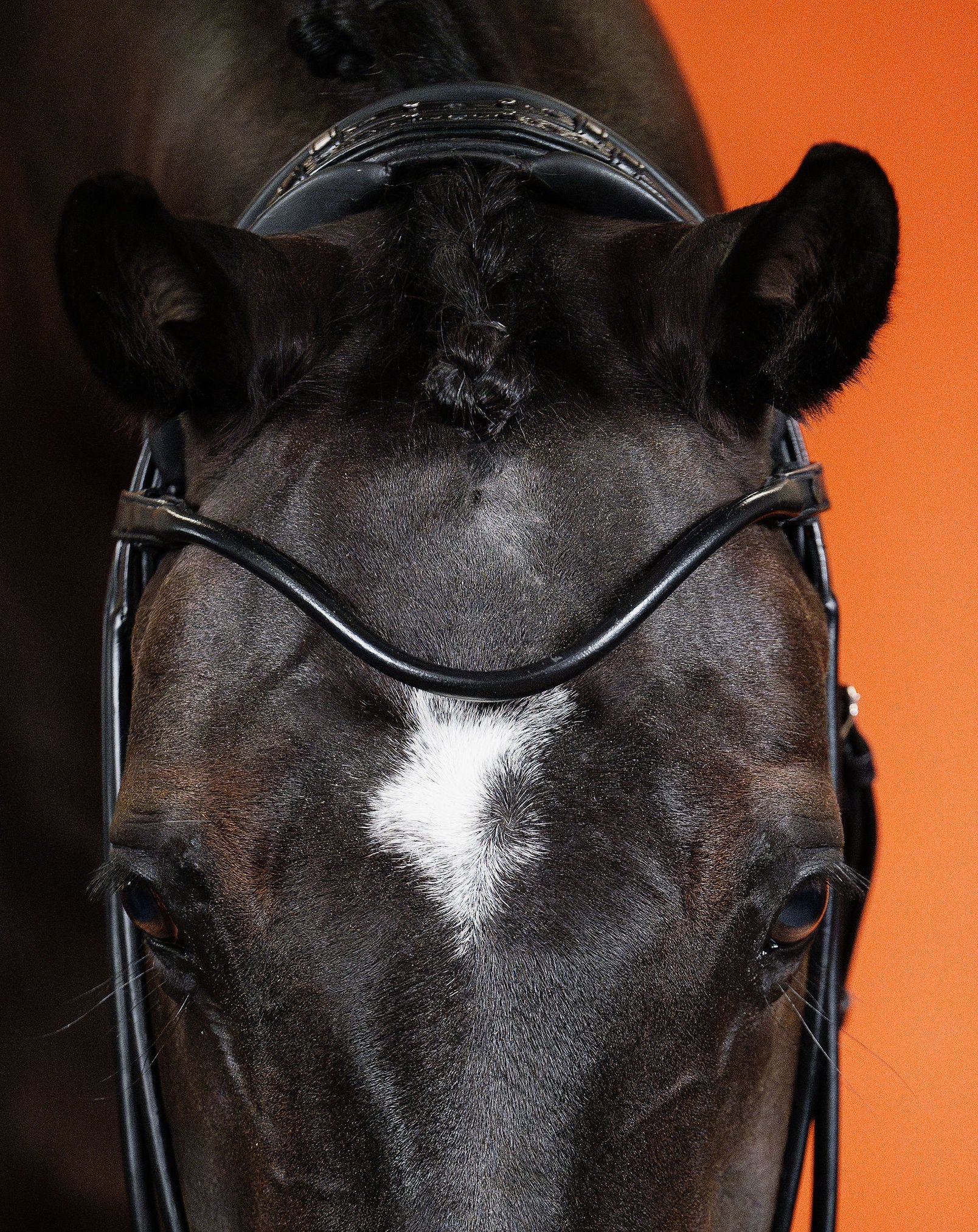 Round-Stitched Browband (Black) | No. 51