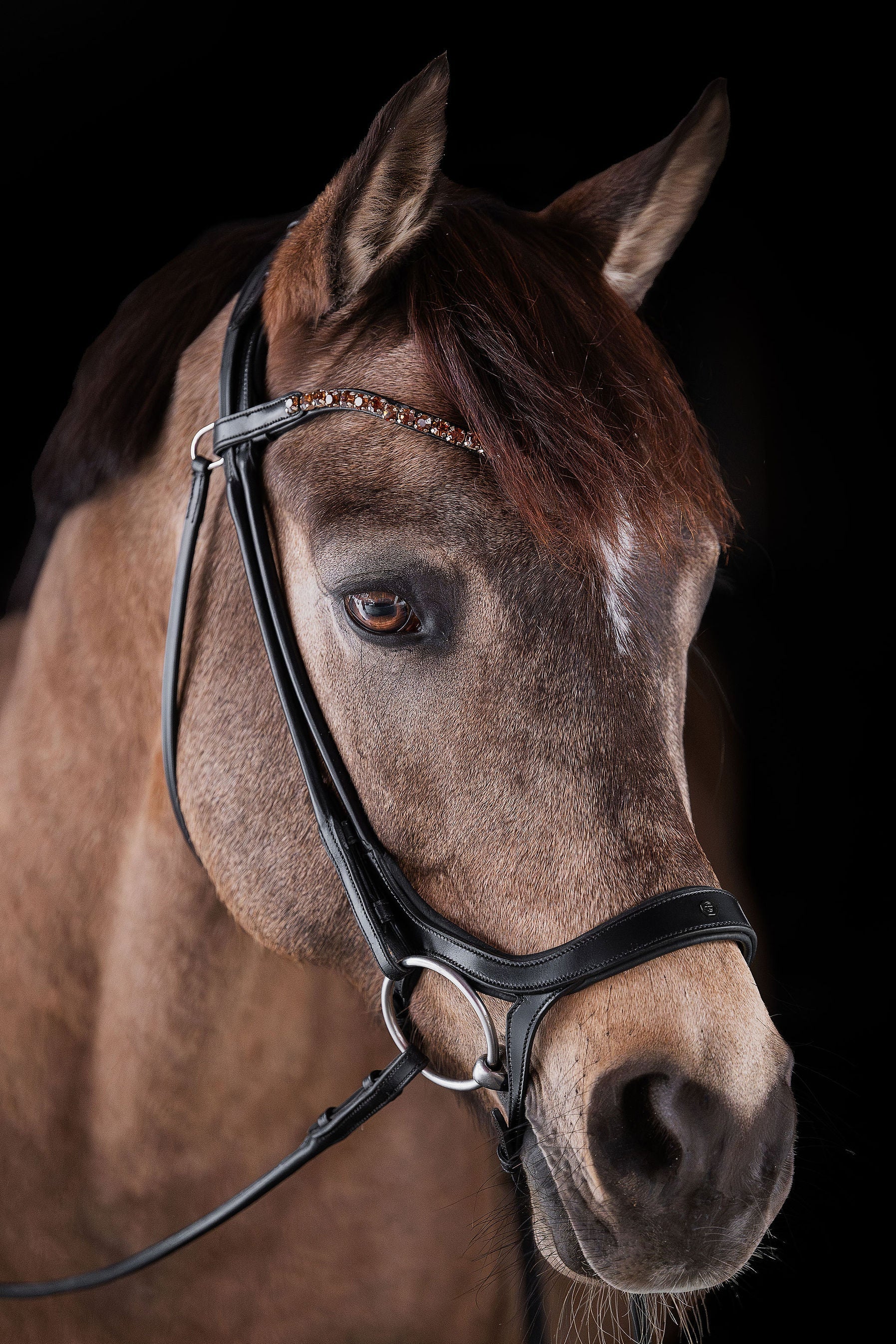 Smoked Topaz Crystal Browband – 8 mm Stones (Black) | No. 60